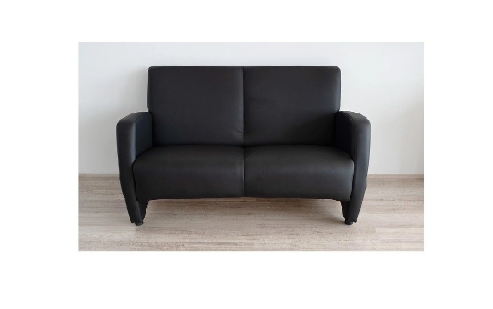 Sindi sofa - 2 seats
